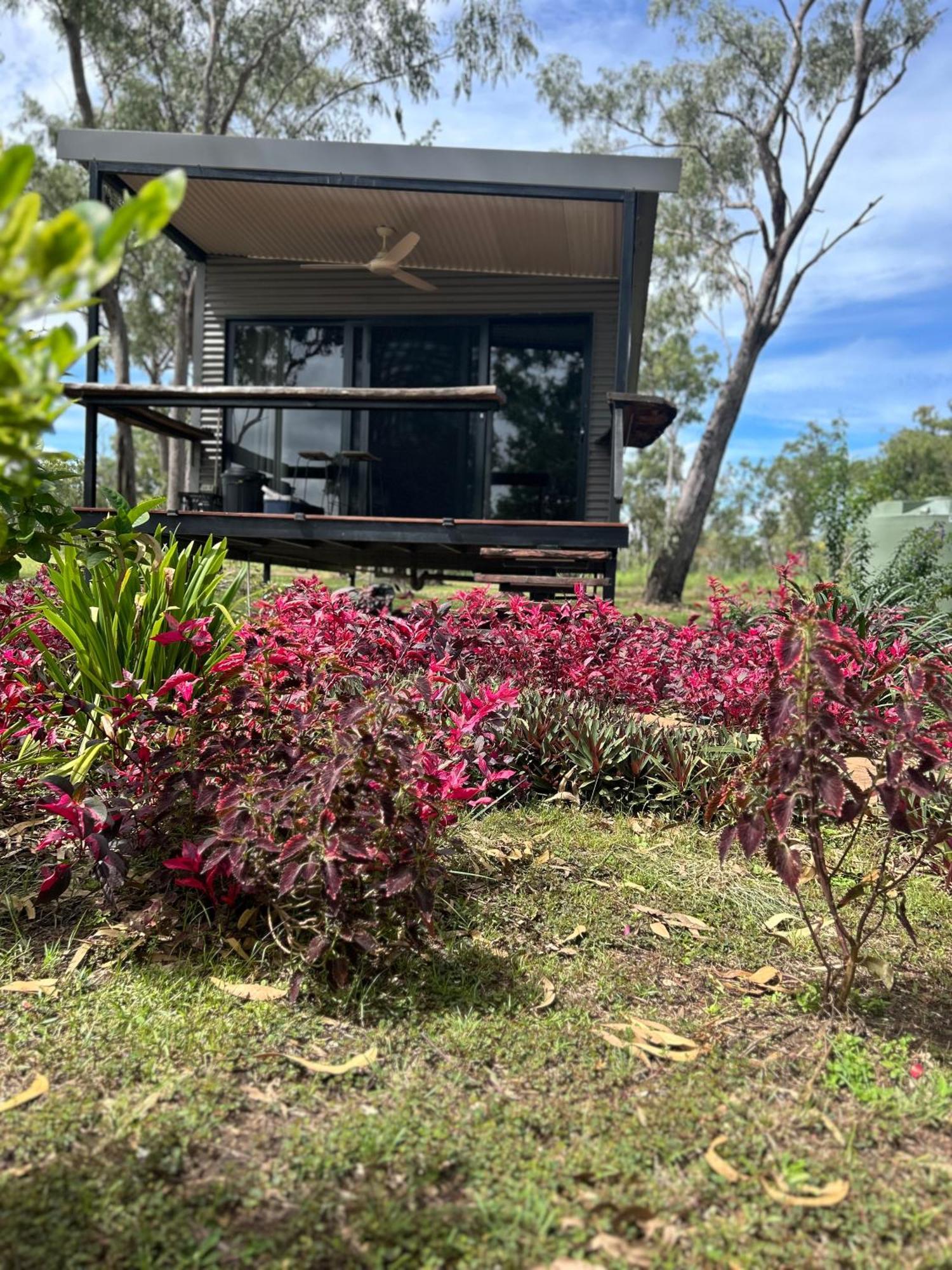 Litchfield Tropical Stay Batchelor エクステリア 写真