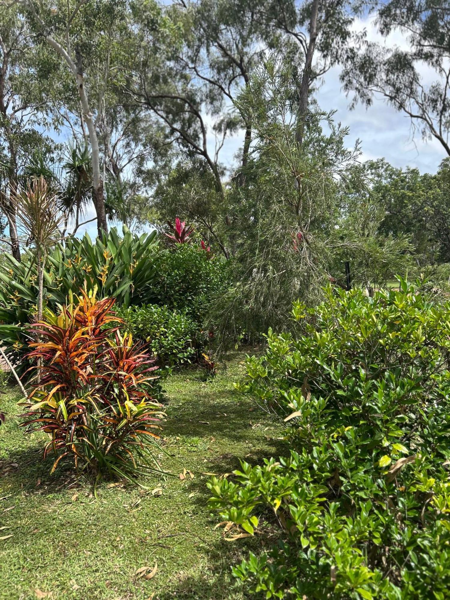 Litchfield Tropical Stay Batchelor エクステリア 写真